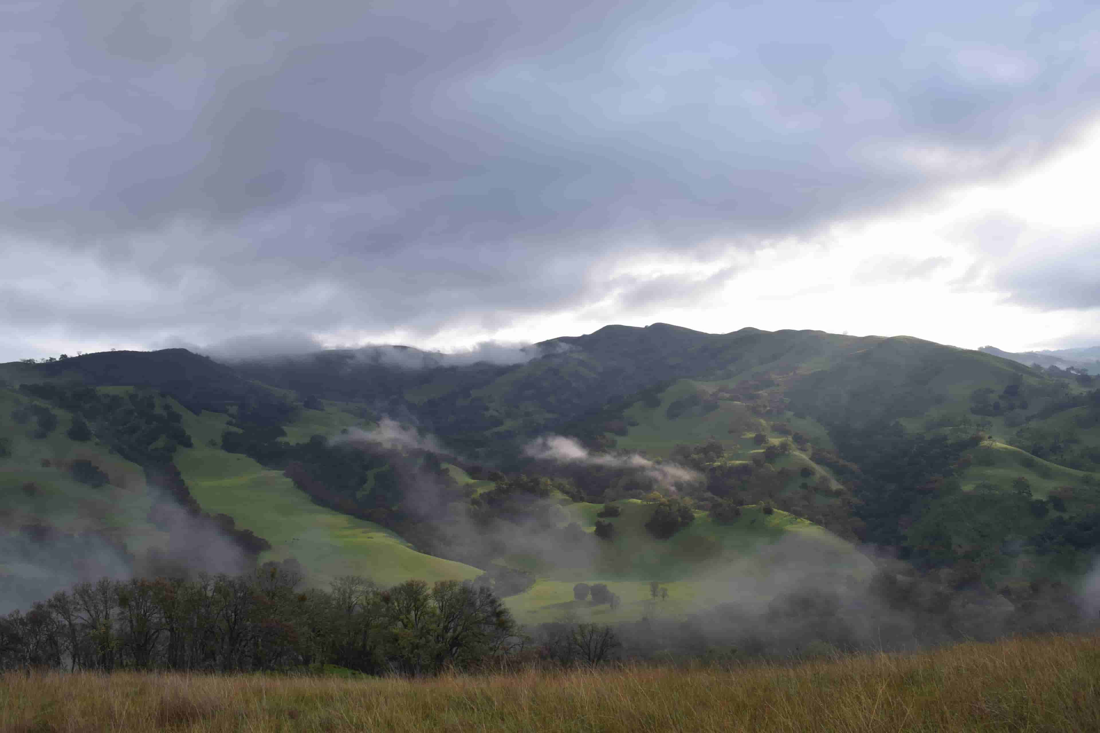 Hill with fog background
